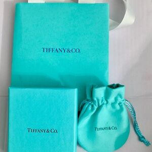 Tiffany & Co. Turquoise Gift Box with White Ribbon